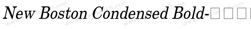 New Boston Condensed Bold字体转换